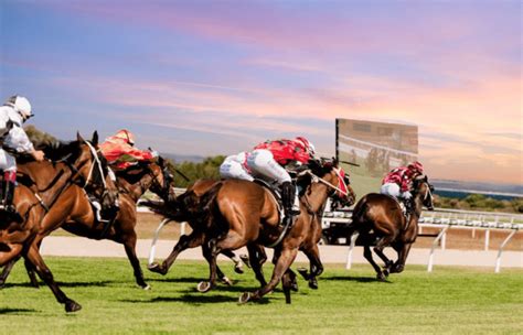 Latest Port Lincoln Horse Racing Results .